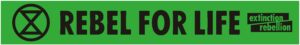 banner Pagina 1 scaled