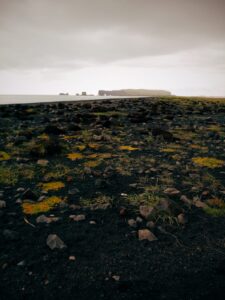 iceland 01