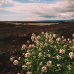 iceland 3 scaled