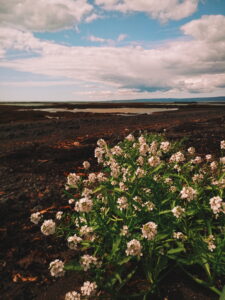 iceland 3 scaled