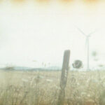 lomo 01