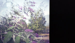 lomo 03