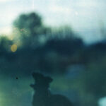 lomo 08