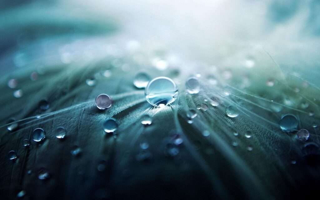 acqua